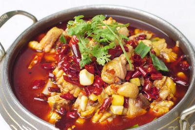  餐飲項目有什么，火鍋雞技術培訓哪里好？