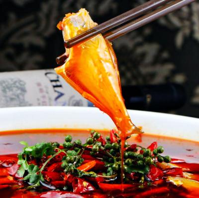 耗兒魚技術培訓在哪里學？